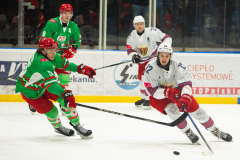 Polonia-Zaglebie-10