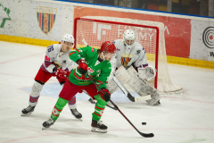 Polonia-Zaglebie-12