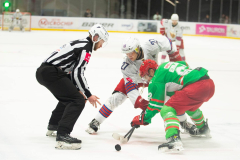 Polonia-Zaglebie-14