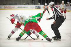 Polonia-Zaglebie-31