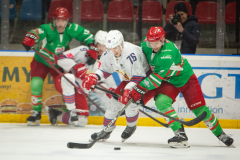 Polonia-Zaglebie-6