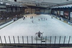 DSC5048_gdavssms