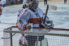 DSC5455_gdavssms