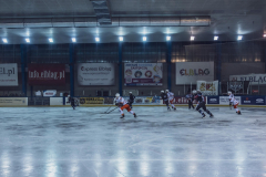 DSC5472_gdavssms