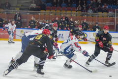DSC3699-torvskra