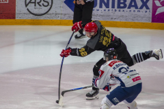 DSC3830-torvskra