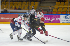 DSC3985-torvskra