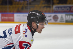 DSC4027-torvskra