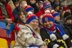 DSC4056-torvskra