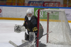 DSC4089-torvskra