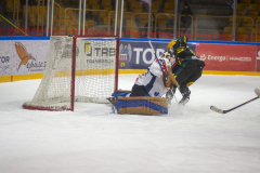 DSC6853_torunvskato