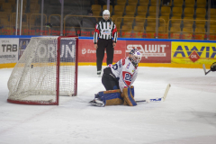 DSC6966_torunvskato