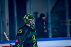 4U5A5096_kat_sos_pp-scaled