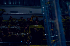 4U5A5142_kat_sos_pp-scaled