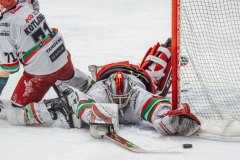 4U5A5172_kat_sos_pp-scaled