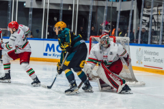 4U5A5459_kat_sos_pp-scaled