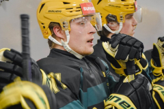 DSC1185-scaled