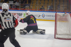 DSC7052_torvsbyt