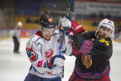 DSC7108_torvsbyt