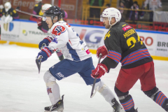 DSC7114_torvsbyt