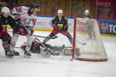 DSC7133_torvsbyt