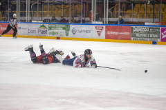DSC7158_torvsbyt