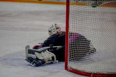 DSC7173_torvsbyt
