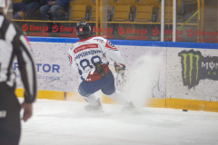 DSC7221_torvsbyt