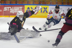DSC7268_torvsbyt