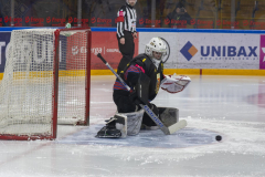 DSC7371_torvsbyt