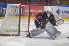 DSC7405_torvsbyt
