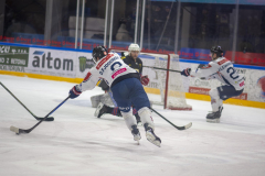 DSC7592_torvsbyt